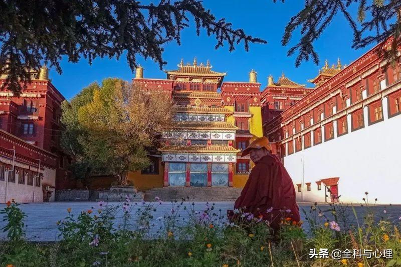 水果转转转最新版，小巷里的甜蜜宝藏