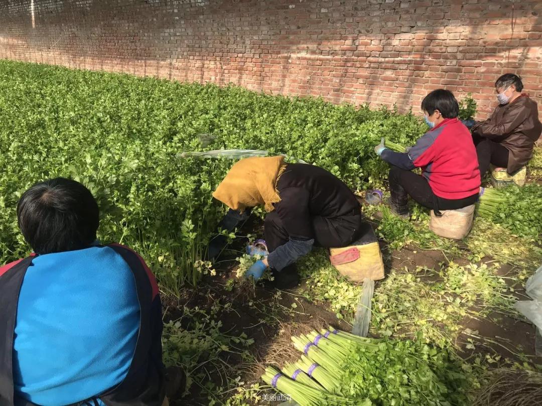 天津武清最新招聘信息，科技驱动，开启全新招聘之旅