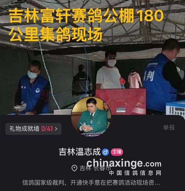 观点论述综述