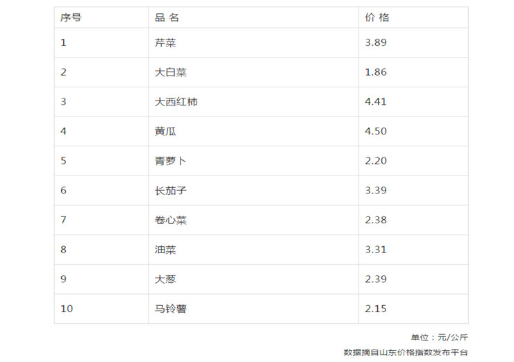山东芹菜价格最新行情动态，变化中的学习助力自信与梦想实现
