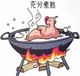 安徽禽流感最新动态，温馨日常故事传递希望与力量