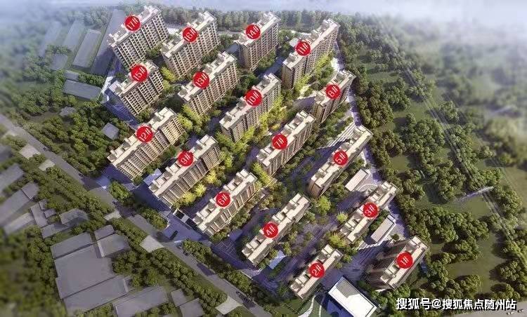 绥棱贴吧最新消息及步骤指南