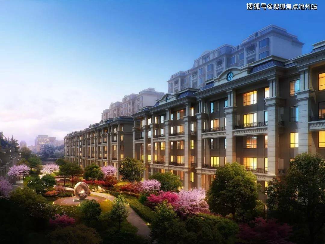 中新鸿泰最新动态深度解析与观点阐述
