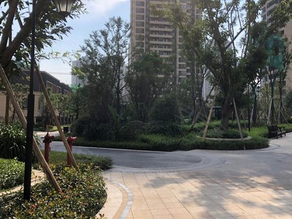 巴南中交锦悦最新价格，自然美景探索之旅邀请启动