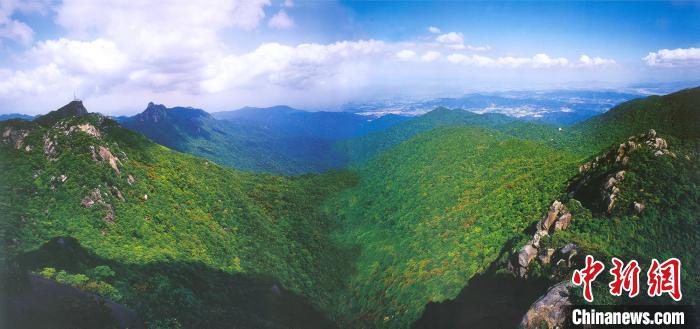南岭国家公园最新动态与消息📢🌲